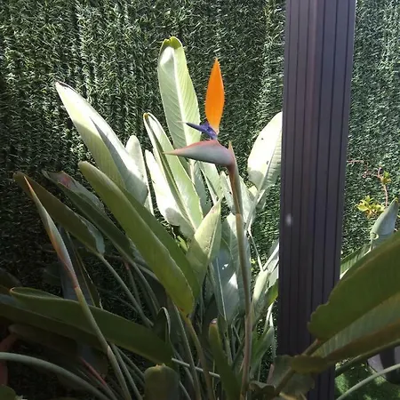 Garden カルダス・デ・レイス