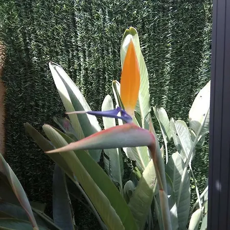 Appartamento Garden *